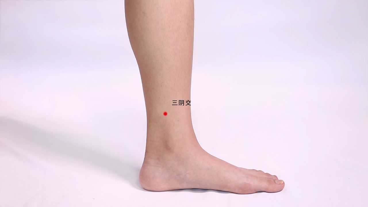 三阴交